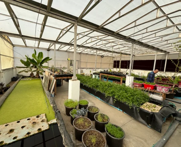 Organic Agriculture
