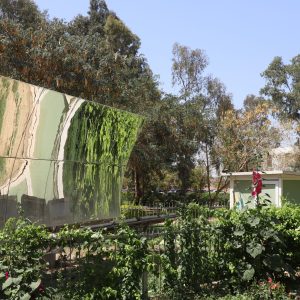 Heliopolis University Leads Local Industry in Energy Efficiency and Clean Energy Initiatives