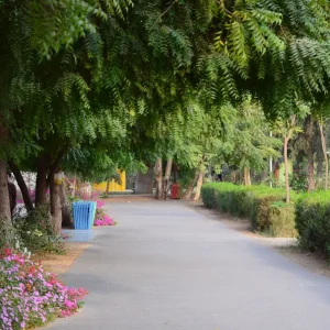 Heliopolis University Launches New Policy to Mitigate Impact of Invasive Species on Campus